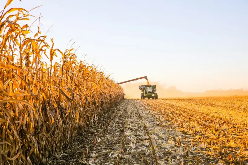 Harvesting Customer Success Stories for SEO Wins