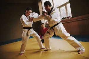 Martial Arts