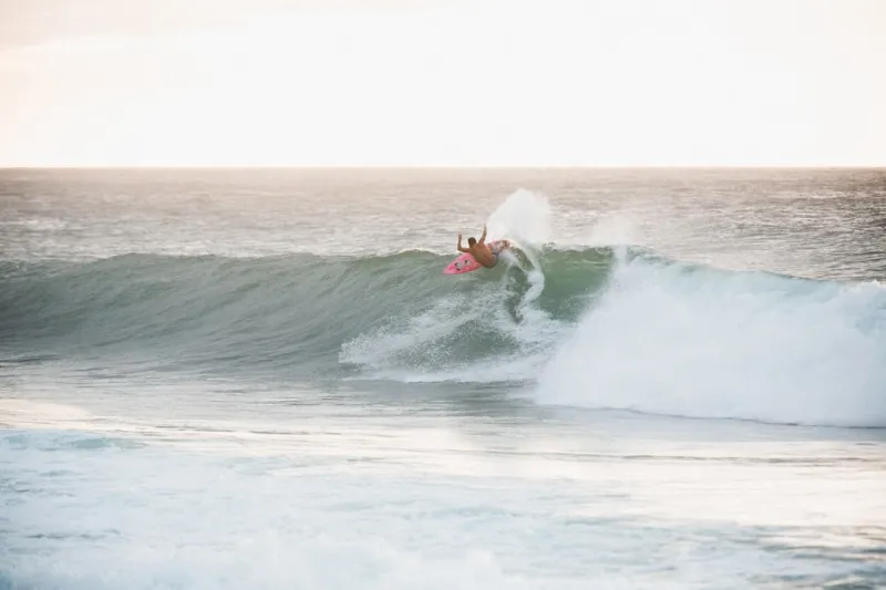 Ride the 2024 SEO Wave: Rose DesRochers’ Fresh Tips for Intent, AI, and Authority