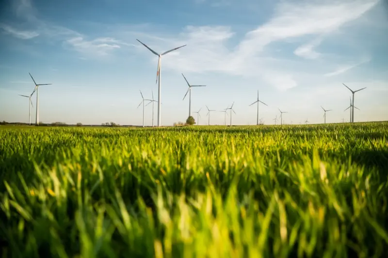 Turning Technical Partnerships into Sustainable Link Assets