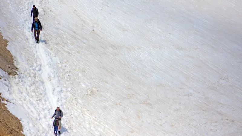 Riding the Intent‑First Wave: Why It’s the Hottest Topic in SEO News Riding the Intent‑First Wave: Why It’s the Hottest Topic in SEO News