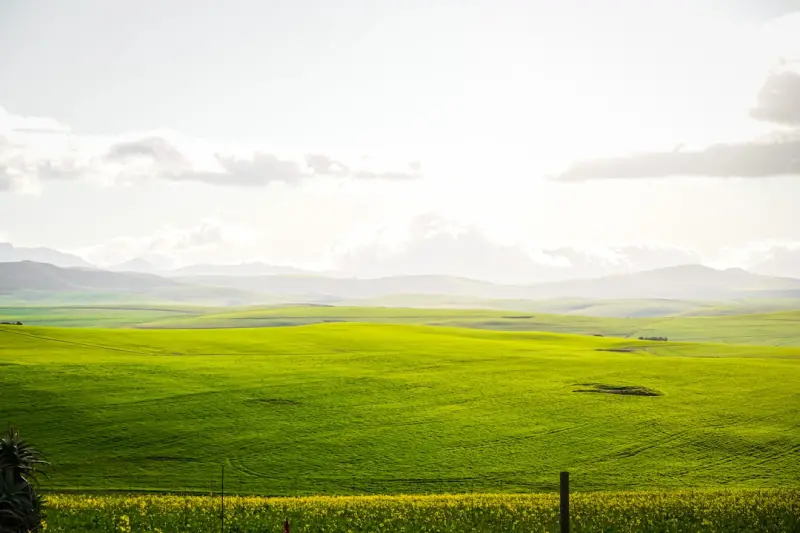 Privacy‑First SEM: Winning in a Cookieless Landscape