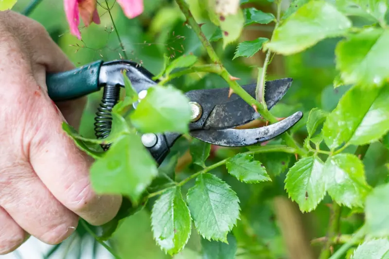 Content Pruning & Refresh: The Unsung Engine Behind Sustainable On‑Page SEO