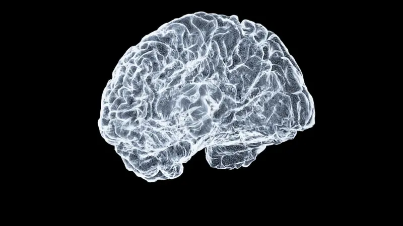 When AI Becomes Your Search Engine’s Brain: A SaaS Playbook