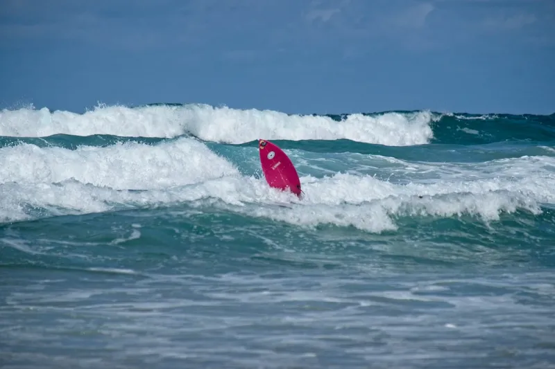 Riding the 2024 SEO Wave: Rose DesRochers Decodes the Latest Google Shifts