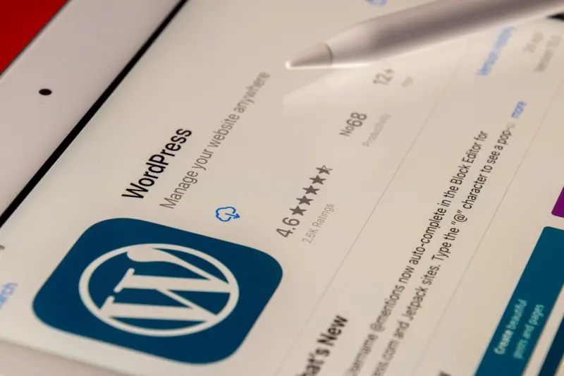 Unlocking WordPress Custom Taxonomies for SEO Supercharge