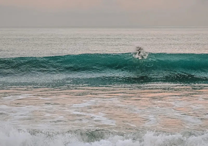 Riding the 2024 SEO Wave: Rose DesRochers Decodes the Latest Google Shifts