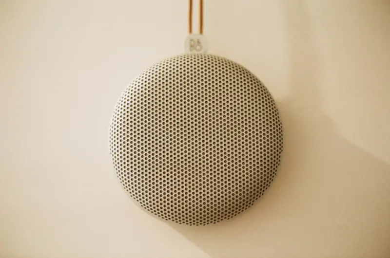 Speak Up: Turning Audio Assistants into a Powerful eCommerce Sales Channel
