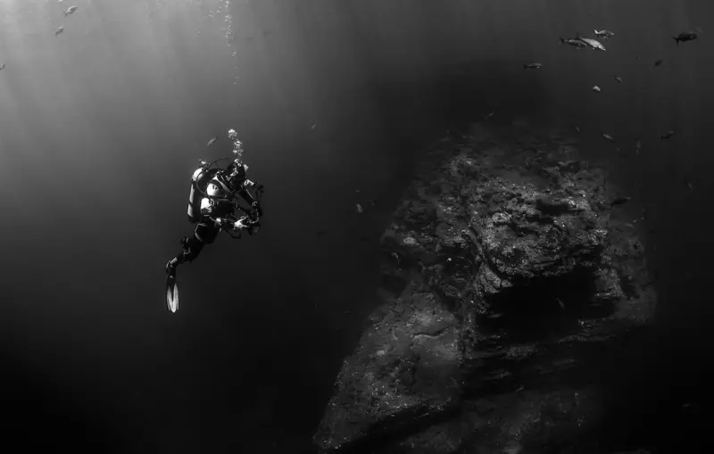 Log File Deep Dive: Technical SEO Tactics for Crawl Mastery Log File Deep Dive: Technical SEO Tactics for Crawl Mastery