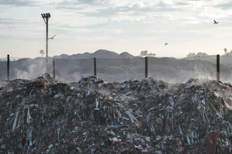 Greener SEM: Cutting Ad Waste to Boost SaaS ROI
