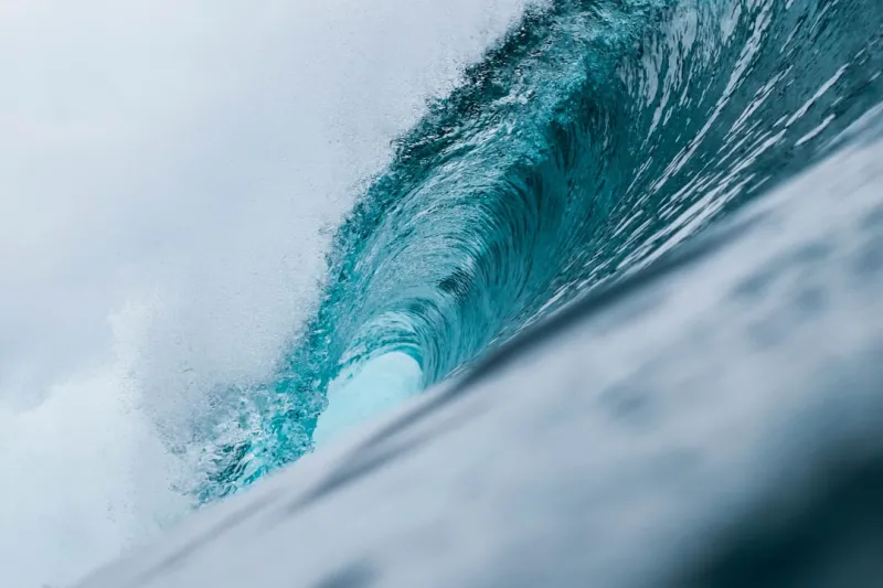 Surfing the 2024 Google SEO Tide: Rose DesRochers’ Insider Playbook
